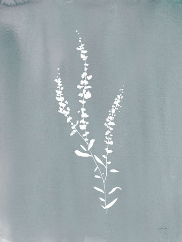 Cottage Wildflowers III White Modern Wood Framed Art Print with Double Matting by Pete, Katrina