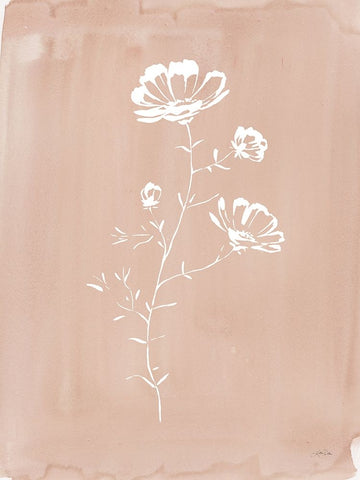 Cottage Wildflowers IV White Modern Wood Framed Art Print with Double Matting by Pete, Katrina