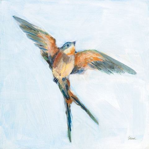 Barn Swallow Flight I White Modern Wood Framed Art Print with Double Matting by Schlabach, Sue