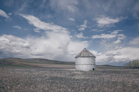 Sunny Pastures Black Ornate Wood Framed Art Print with Double Matting by Larson, Nathan