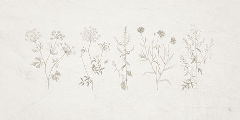 Gifts from the Meadow  I White Modern Wood Framed Art Print with Double Matting by Adams, Sarah