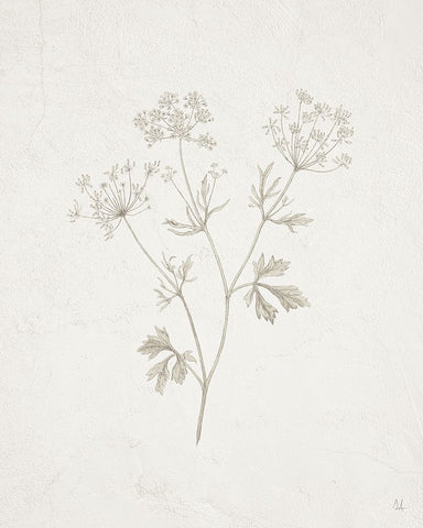 Gifts from the Meadow IV White Modern Wood Framed Art Print with Double Matting by Adams, Sarah