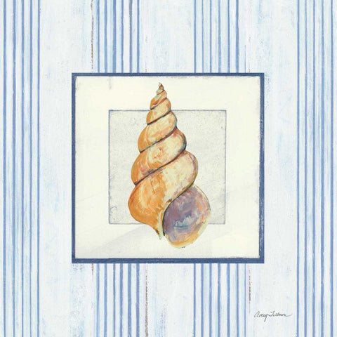 Sanibel Shell II White Modern Wood Framed Art Print with Double Matting by Tillmon, Avery