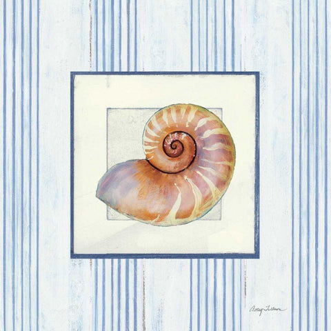 Sanibel Shell III Black Ornate Wood Framed Art Print with Double Matting by Tillmon, Avery