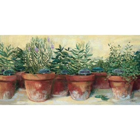 Potted Herbs I White Modern Wood Framed Art Print by Rowan, Carol