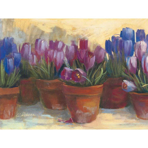 Spring Crocus Black Modern Wood Framed Art Print with Double Matting by Rowan, Carol