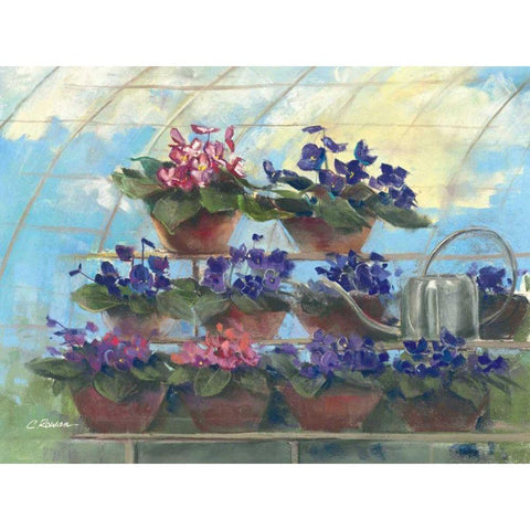 Violets White Modern Wood Framed Art Print by Rowan, Carol