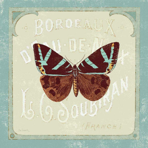Parisian Butterfly II White Modern Wood Framed Art Print with Double Matting by Schlabach, Sue