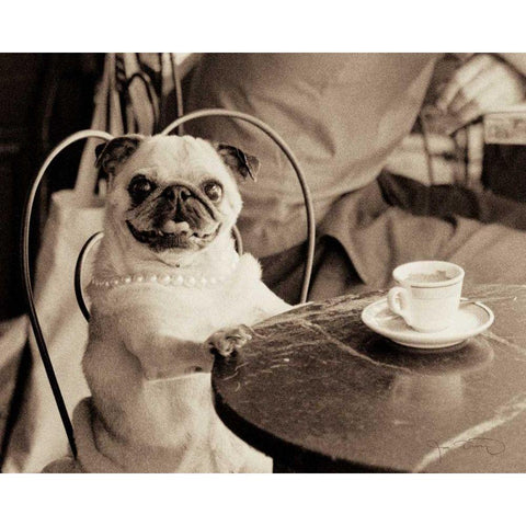 Cafe Pug Gold Ornate Wood Framed Art Print with Double Matting by Dratfield, Jim