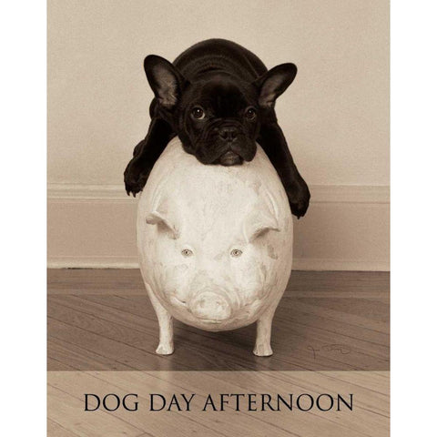 Dog Day Afternoon Black Modern Wood Framed Art Print with Double Matting by Dratfield, Jim