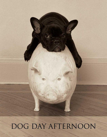 Dog Day Afternoon Black Ornate Wood Framed Art Print with Double Matting by Dratfield, Jim