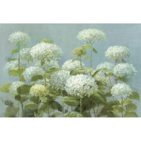 White Hydrangea Garden Black Modern Wood Framed Art Print by Nai, Danhui