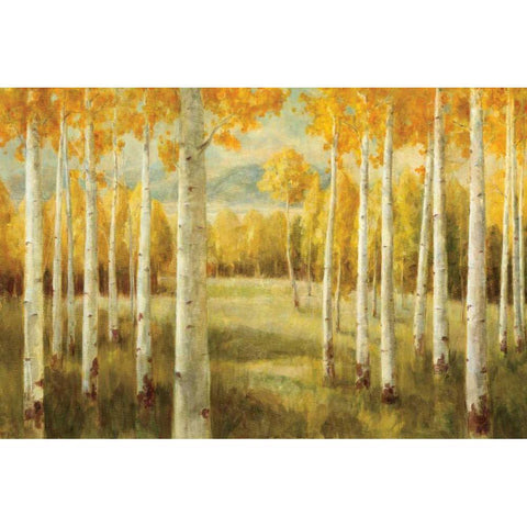 Aspens Black Modern Wood Framed Art Print with Double Matting by Nai, Danhui