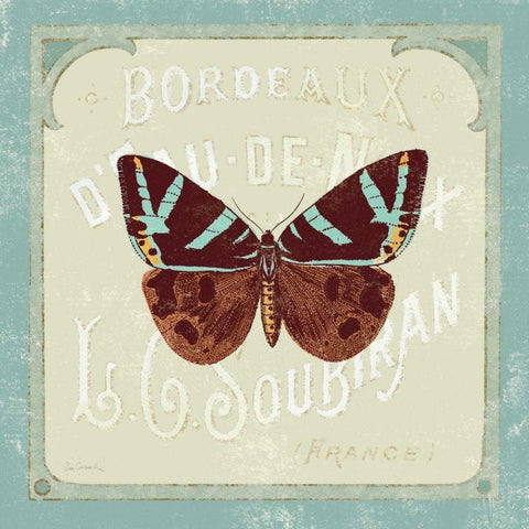 Parisian Butterfly II Black Ornate Wood Framed Art Print with Double Matting by Schlabach, Sue