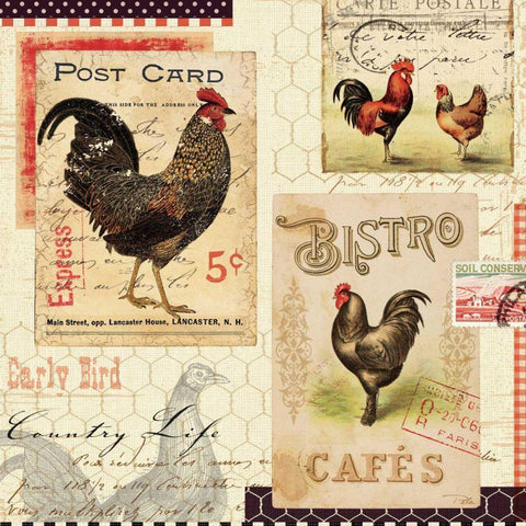 Rooster Farm I Black Modern Wood Framed Art Print with Double Matting by Pelletier, Alain