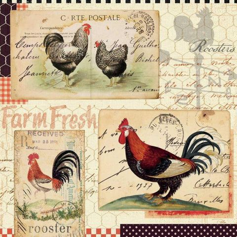 Rooster Farm II White Modern Wood Framed Art Print with Double Matting by Pelletier, Alain