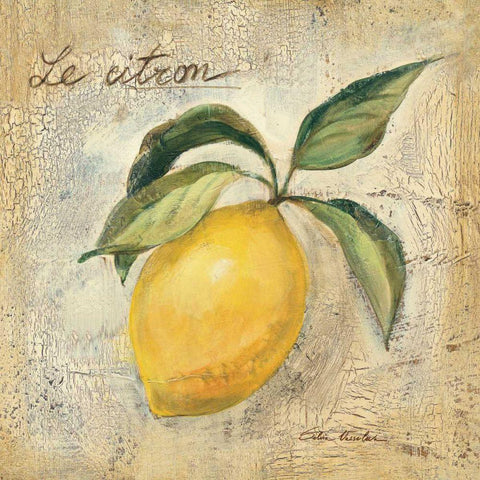 Le Citron White Modern Wood Framed Art Print by Vassileva, Silvia