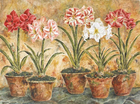 Terrace Companions White Modern Wood Framed Art Print with Double Matting by Shelby, Judy