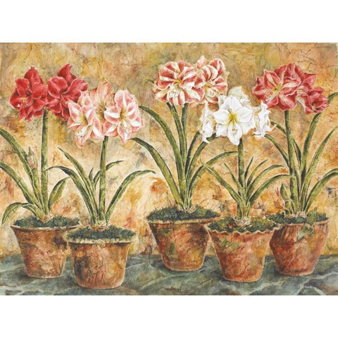 Terrace Companions White Modern Wood Framed Art Print by Shelby, Judy