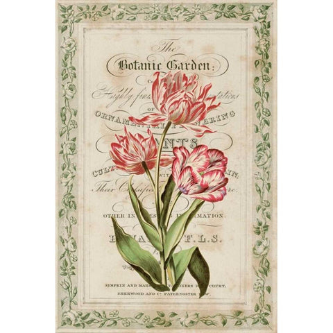 Botanic Garden Gold Ornate Wood Framed Art Print with Double Matting by Alexander, Zachary