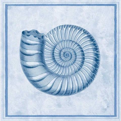Blue Nautilus B Black Modern Wood Framed Art Print by Chilton, Sarah E