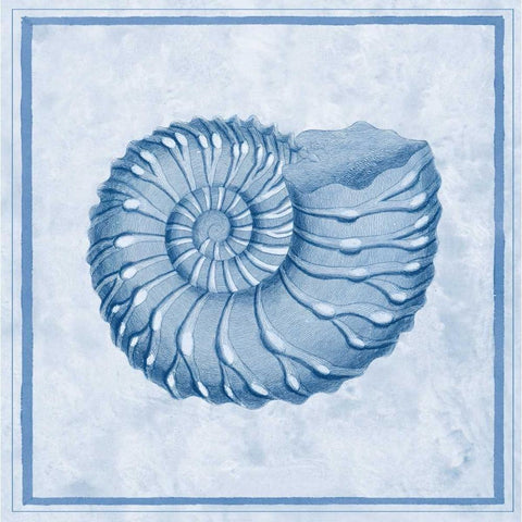 Blue Nautilus C White Modern Wood Framed Art Print by Chilton, Sarah E