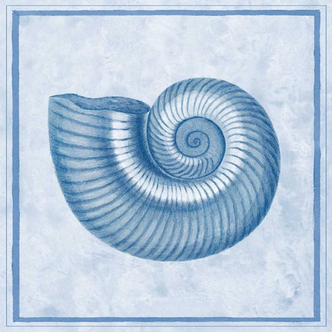 Blue Nautilus D Black Ornate Wood Framed Art Print with Double Matting by Chilton, Sarah E