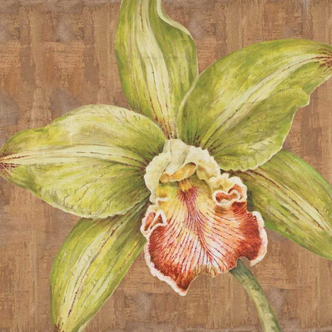 Aloha Beauty II Black Ornate Wood Framed Art Print with Double Matting by Shelby, Judy