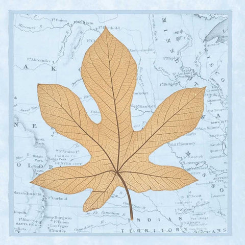 Natures Profile A White Modern Wood Framed Art Print by Bannister, Cory