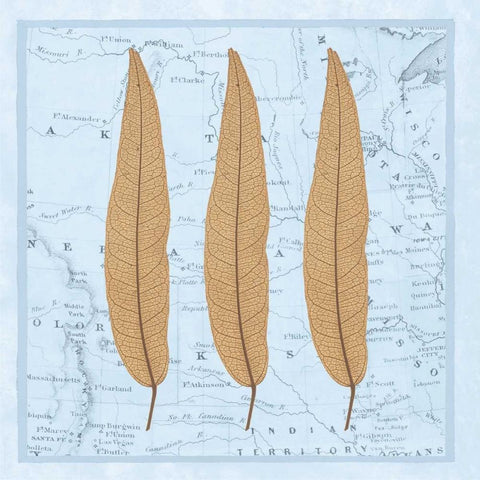 Natures Profile B White Modern Wood Framed Art Print with Double Matting by Bannister, Cory