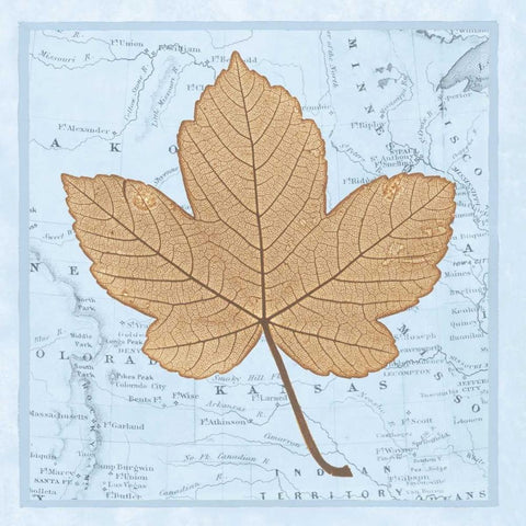 Natures Profile C Black Modern Wood Framed Art Print by Bannister, Cory