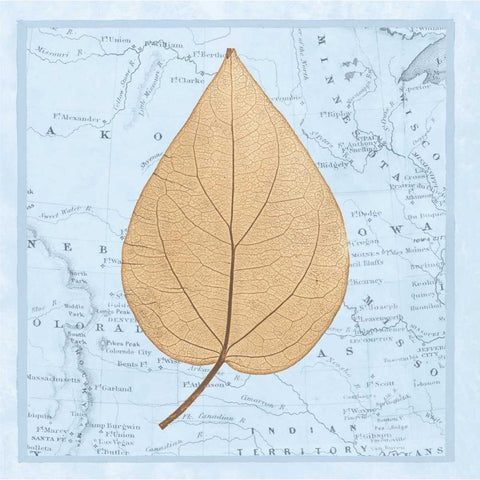 Natures Profile D Black Modern Wood Framed Art Print by Bannister, Cory