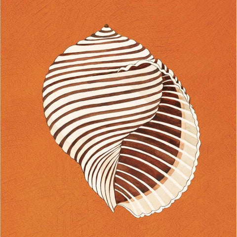 Cayman Quartet A Black Modern Wood Framed Art Print by Shelby, Judy