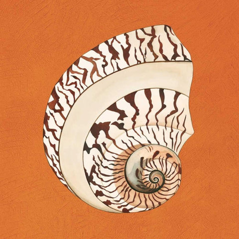 Cayman Quartet B White Modern Wood Framed Art Print by Shelby, Judy