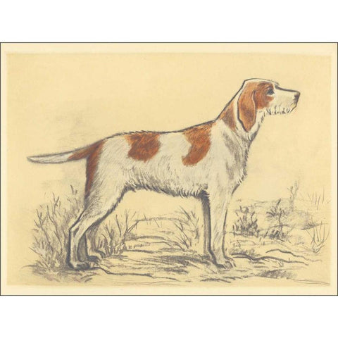 Hunting Dogs-Griffon White Modern Wood Framed Art Print by Collot, Andres