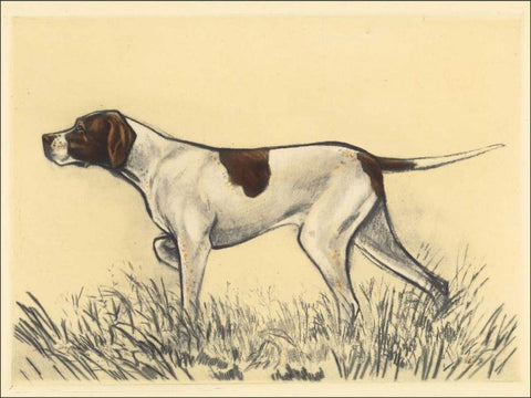 Hunting Dogs-Pointer White Modern Wood Framed Art Print with Double Matting by Collot, Andres