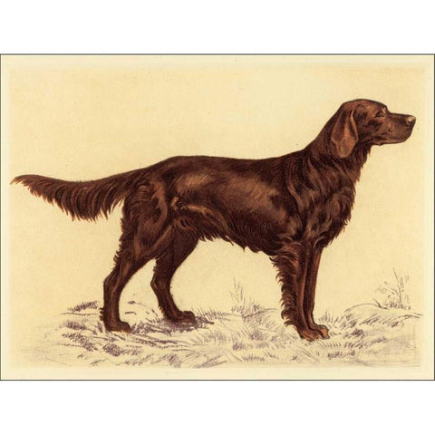 Hunting Dogs-Setter Black Modern Wood Framed Art Print by Collot, Andres