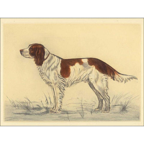 Hunting Dogs-Spaniel Gold Ornate Wood Framed Art Print with Double Matting by Collot, Andres