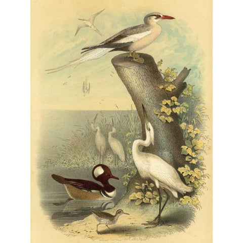 Coastal Dwellers II Gold Ornate Wood Framed Art Print with Double Matting by Steele, Horace