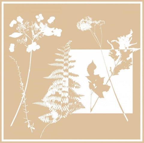 Yin and Yang II Black Ornate Wood Framed Art Print with Double Matting by Bannister, Cory