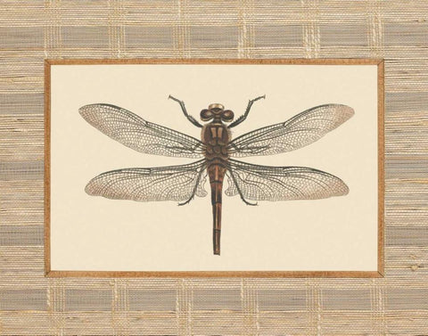 Delicate Dancer I Black Ornate Wood Framed Art Print with Double Matting by Chilton, Sarah E