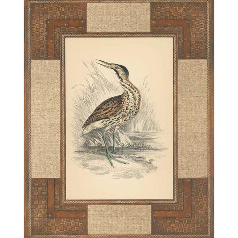 Marshland Bittern Black Modern Wood Framed Art Print by Reynolds, Alastair