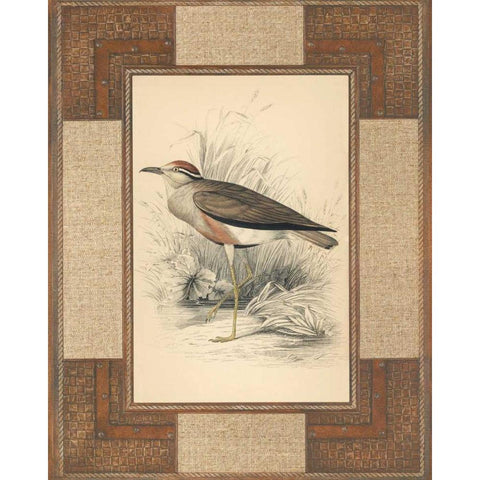 Lowland Courier White Modern Wood Framed Art Print by Reynolds, Alastair