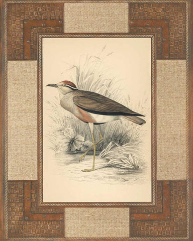 Lowland Courier Black Ornate Wood Framed Art Print with Double Matting by Reynolds, Alastair