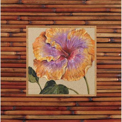 Pacific Paradise B White Modern Wood Framed Art Print by Shelby, Judy