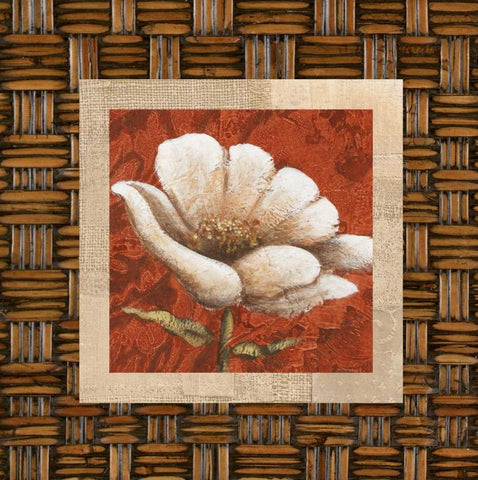 Plantation Themes B Black Ornate Wood Framed Art Print with Double Matting by Davies, Susan