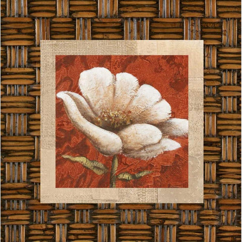 Plantation Themes B Black Modern Wood Framed Art Print by Davies, Susan