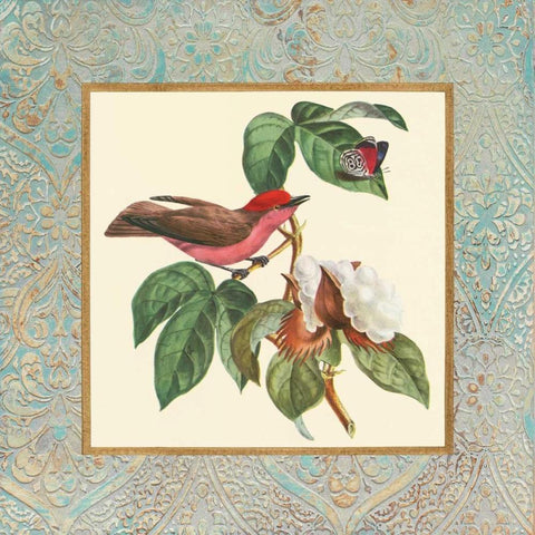 Bel Air Songbirds I Black Modern Wood Framed Art Print with Double Matting by Alexander, Zachary
