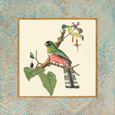 Bel Air Songbirds II Black Modern Wood Framed Art Print by Alexander, Zachary