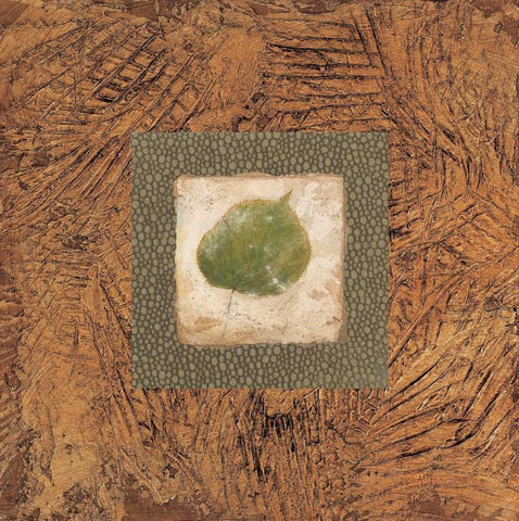 Sedona Naturals A White Modern Wood Framed Art Print with Double Matting by Alexander, Zachary